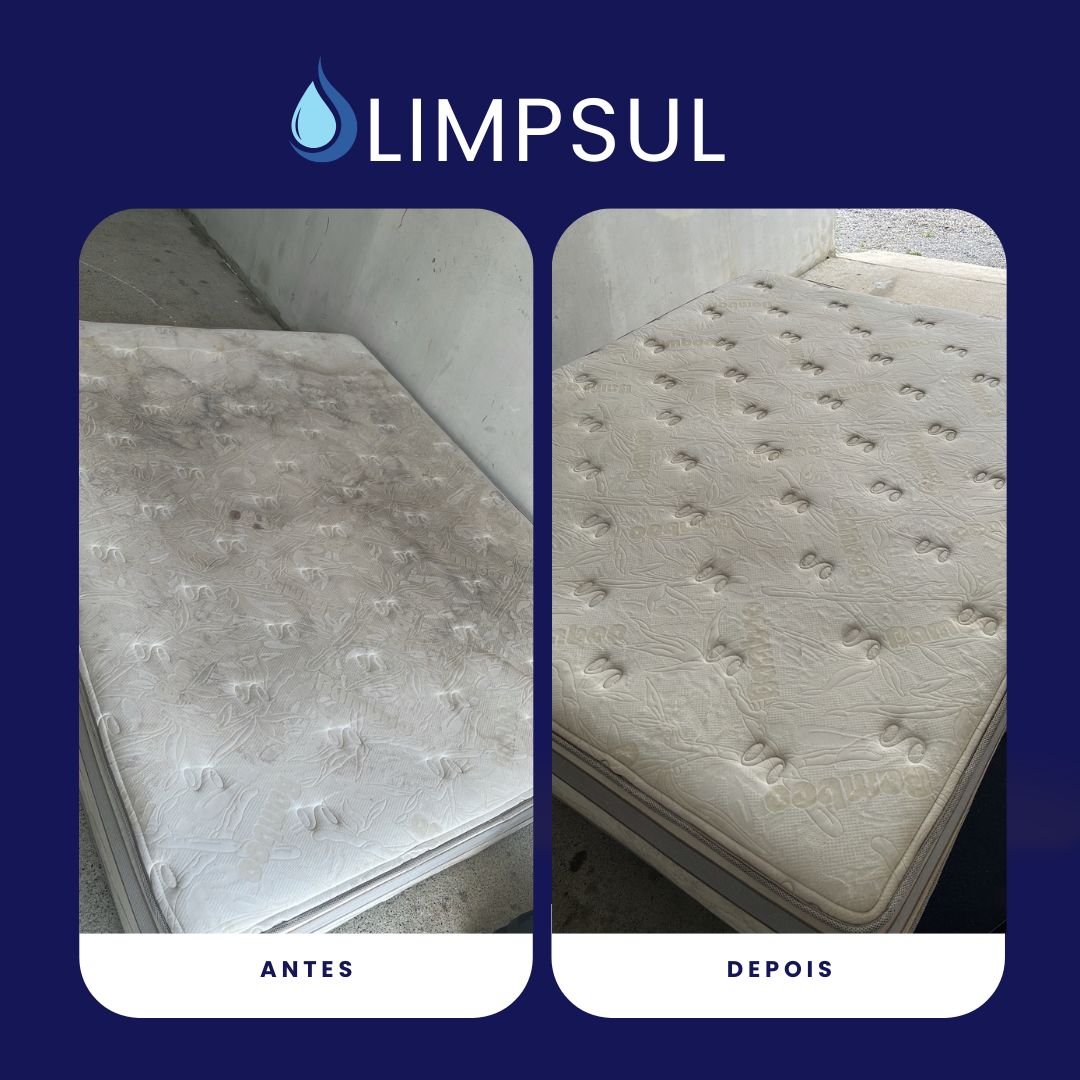 Sofá higienizado pela LimpSul