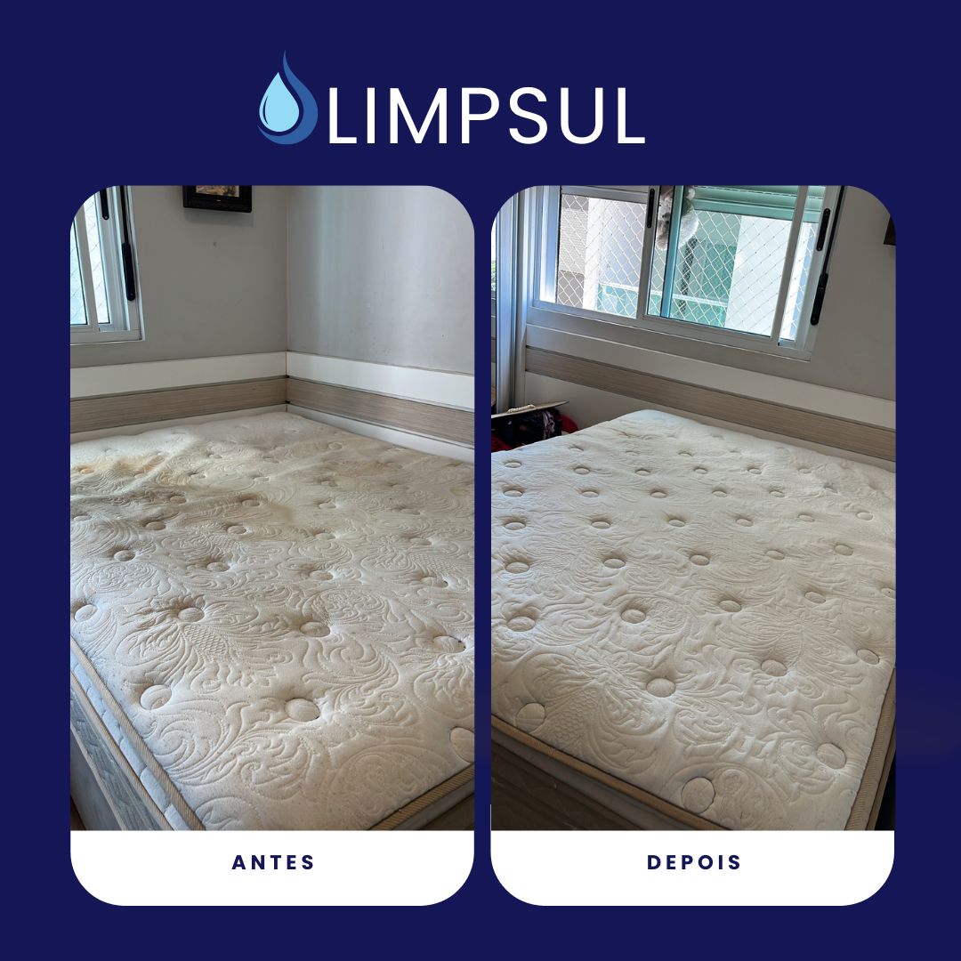 Processo de lavagem a seco profissional