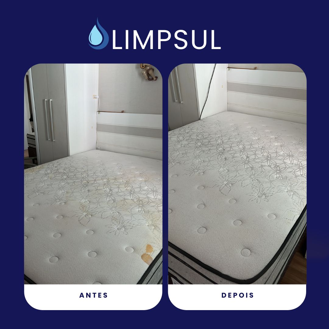 Sofá limpo e revitalizado